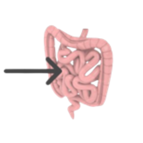اختبارات عامر التعليمية