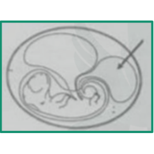 اختبارات عامر التعليمية