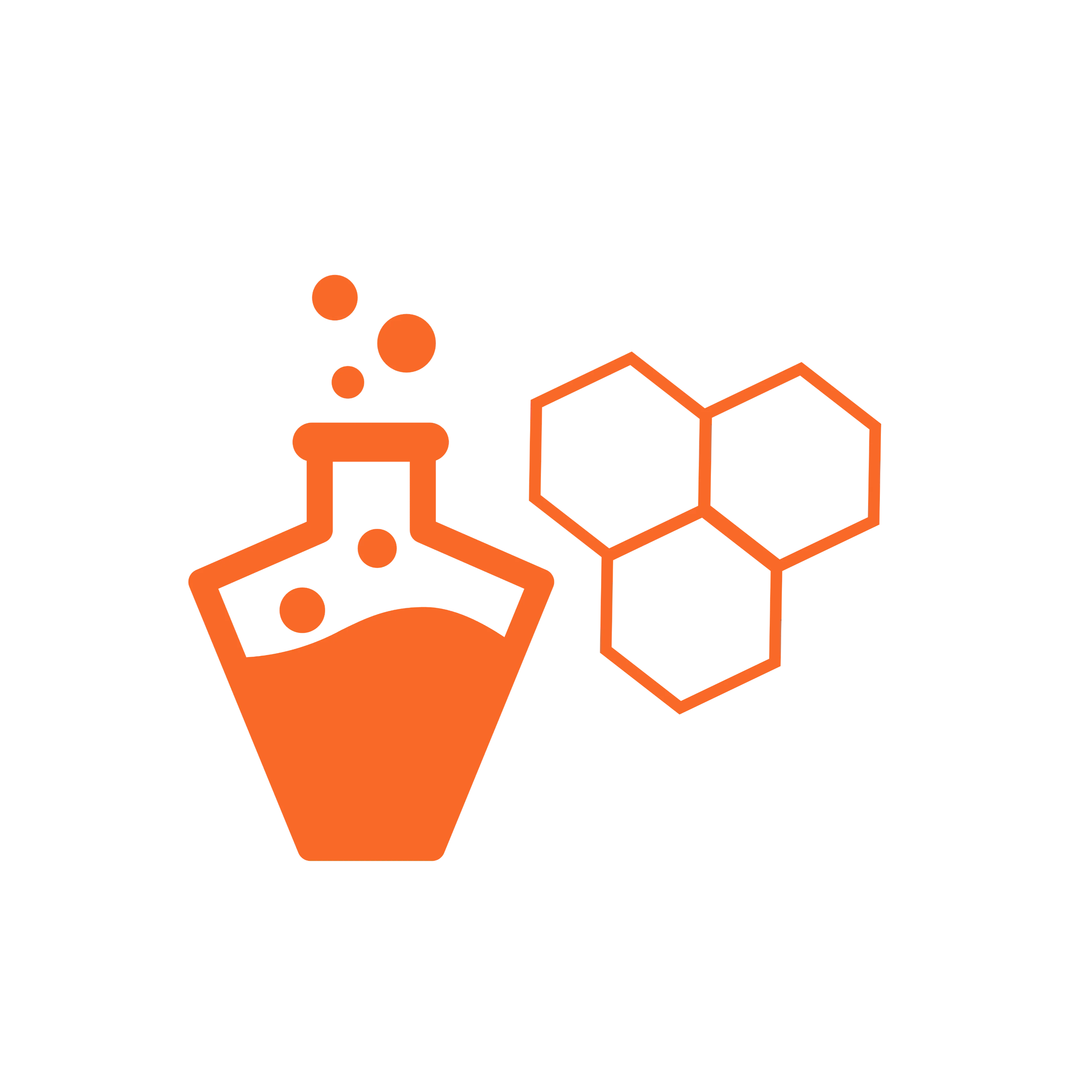 اختبارات عامر التعليمية