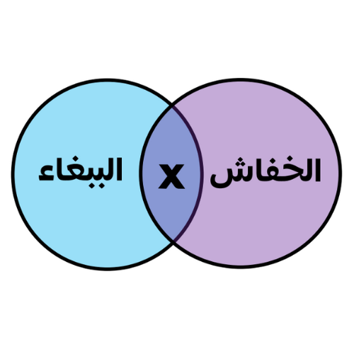 اختبارات عامر التعليمية