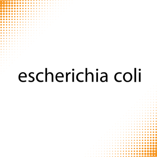 اختبارات عامر التعليمية