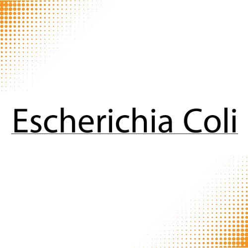 اختبارات عامر التعليمية