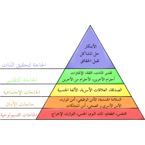 اختبارات عامر التعليمية