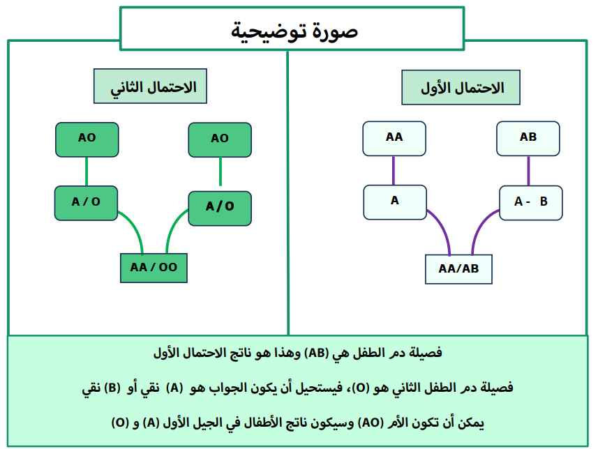 اختبارات عامر التعليمية