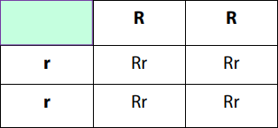 اختبارات عامر التعليمية