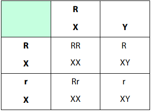 اختبارات عامر التعليمية