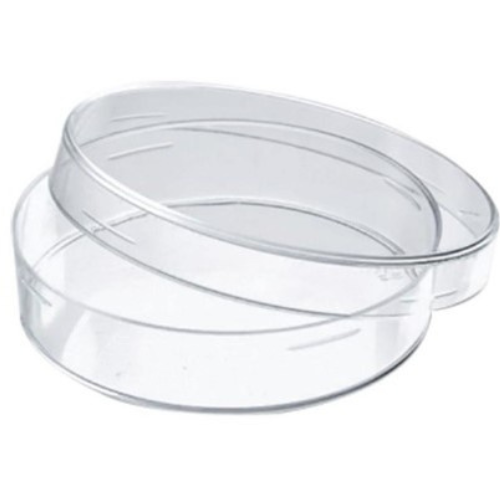 اختبارات عامر التعليمية