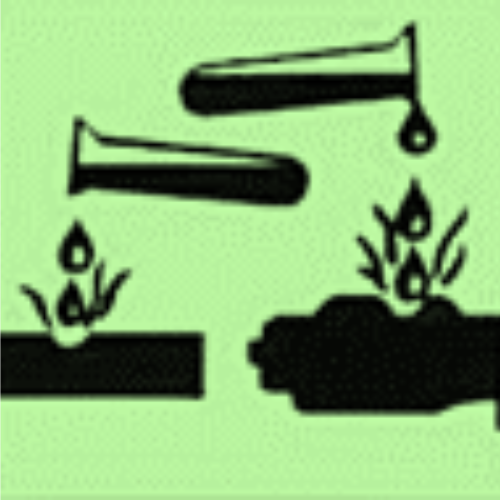 اختبارات عامر التعليمية