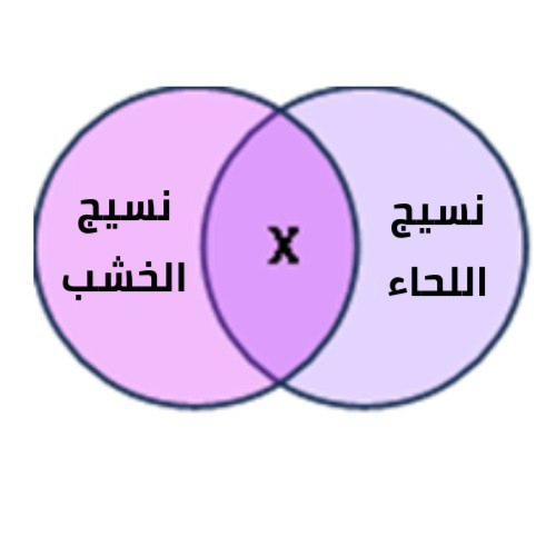 اختبارات عامر التعليمية