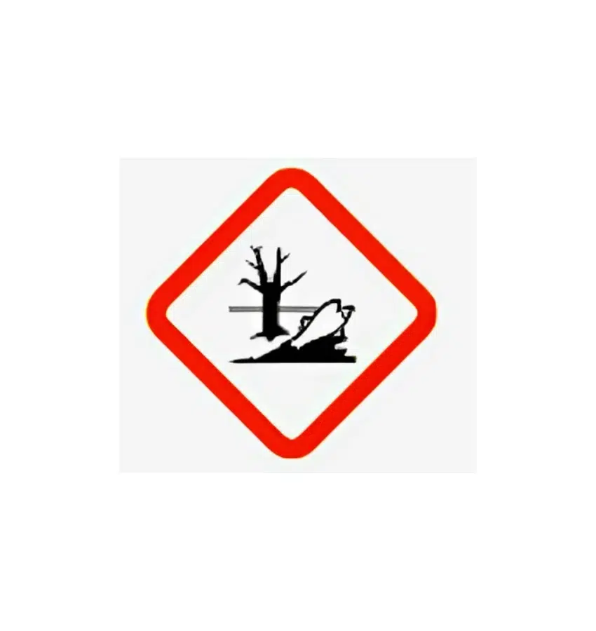 اختبارات عامر التعليمية