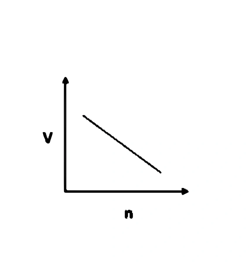 اختبارات عامر التعليمية
