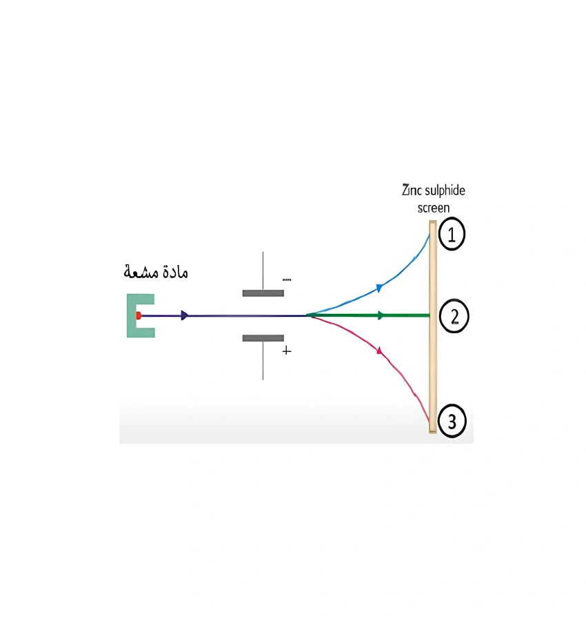 اختبارات عامر التعليمية