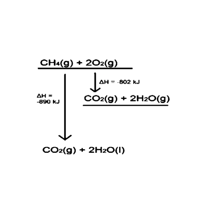اختبارات عامر التعليمية