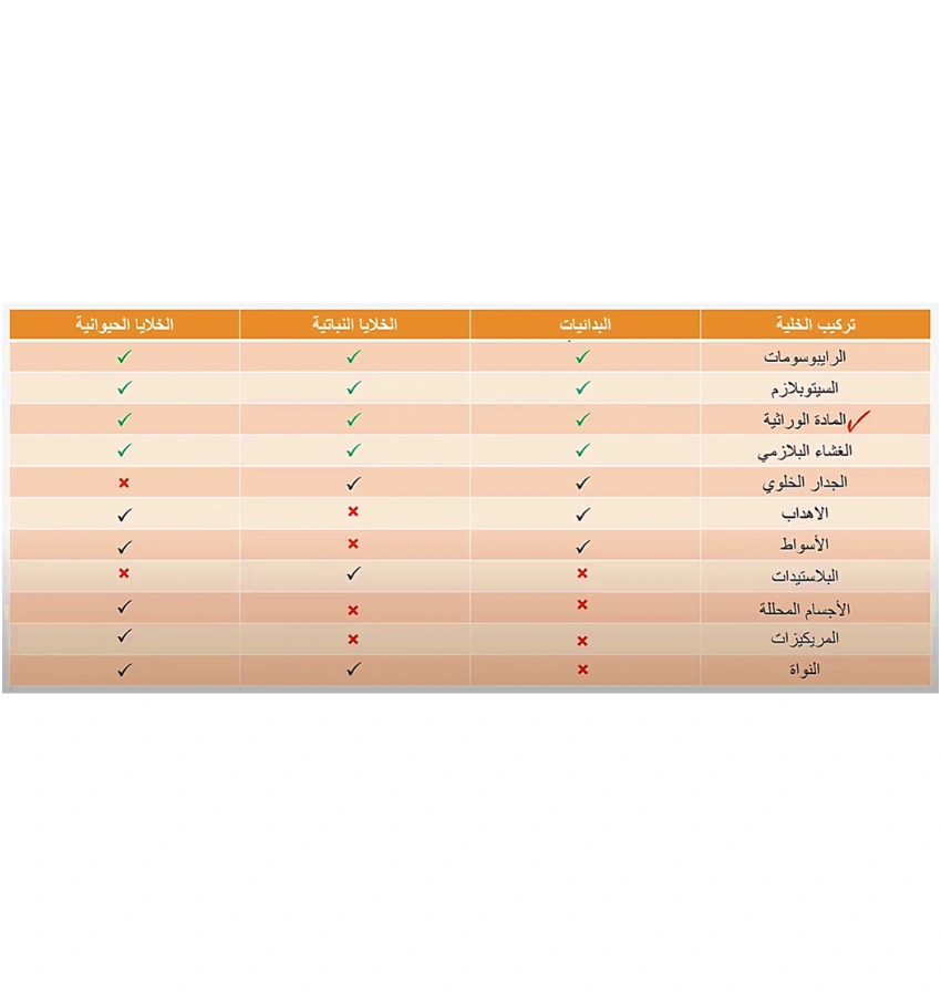 اختبارات عامر التعليمية