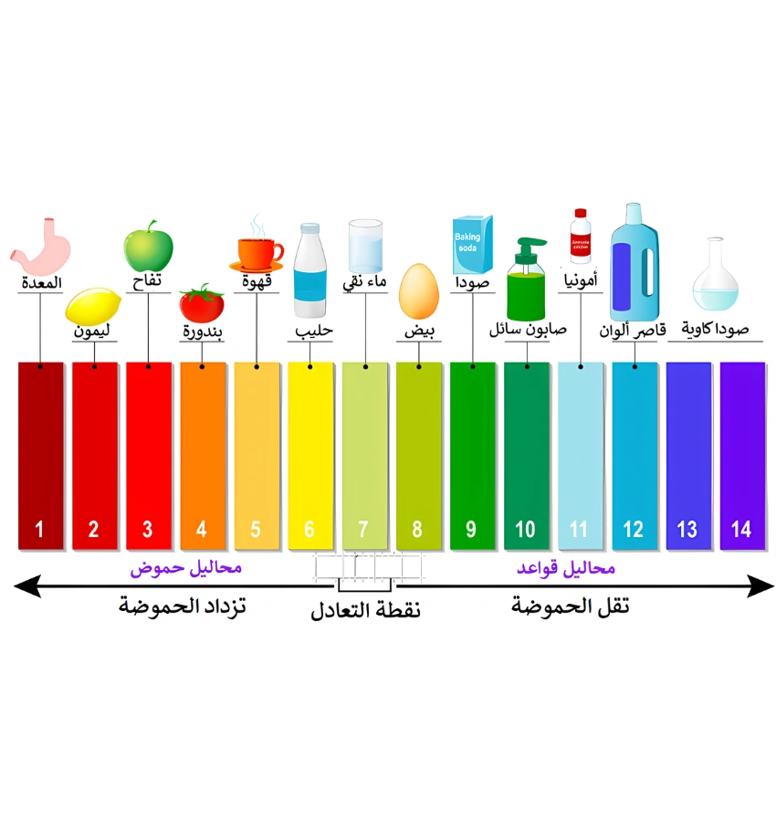 اختبارات عامر التعليمية