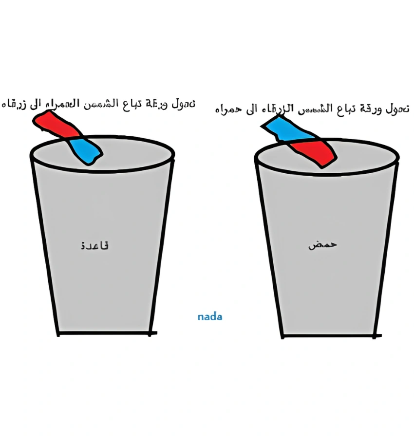 اختبارات عامر التعليمية