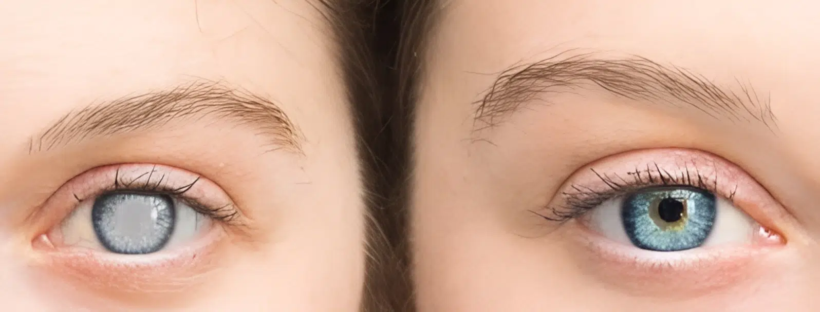 اختبارات عامر التعليمية