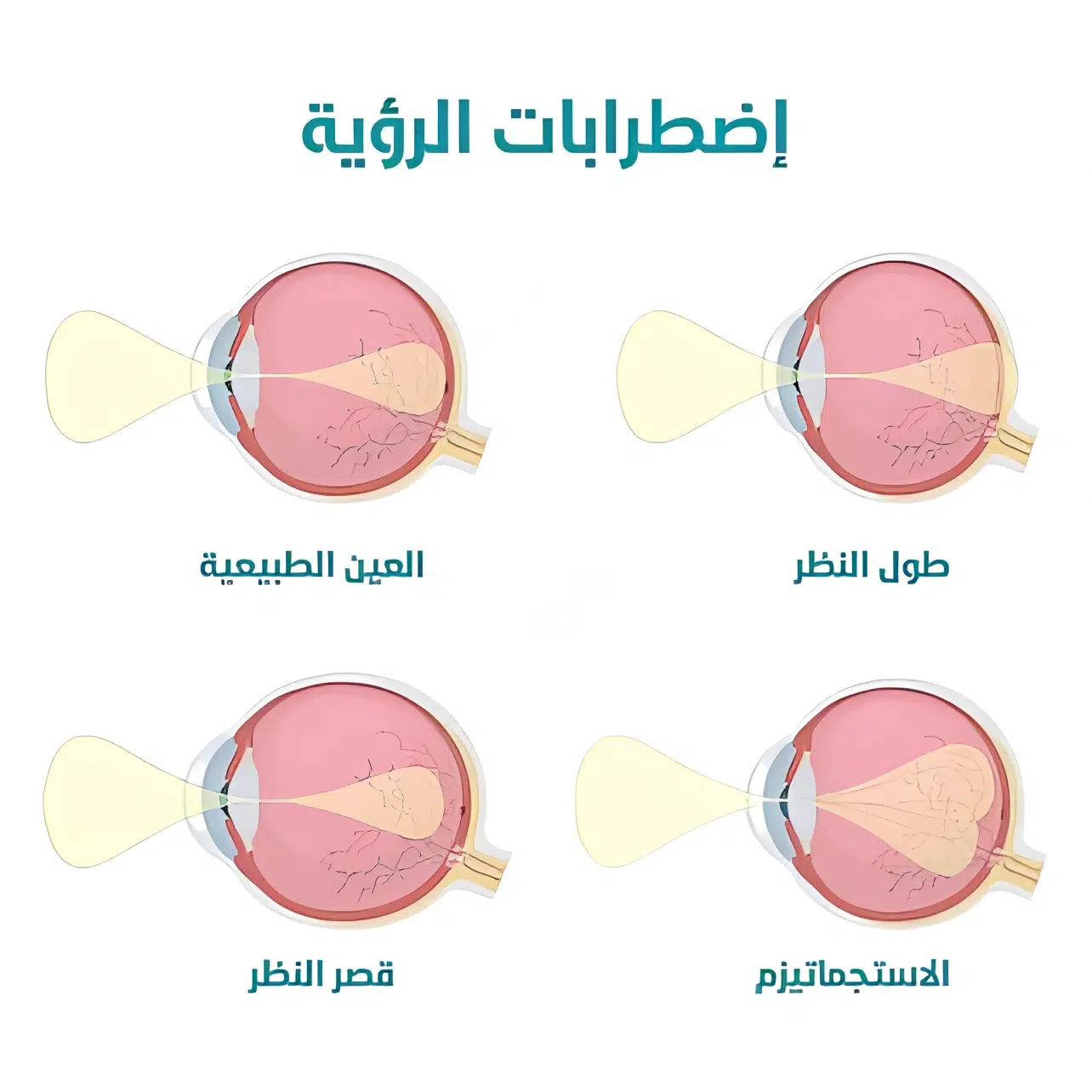 اختبارات عامر التعليمية