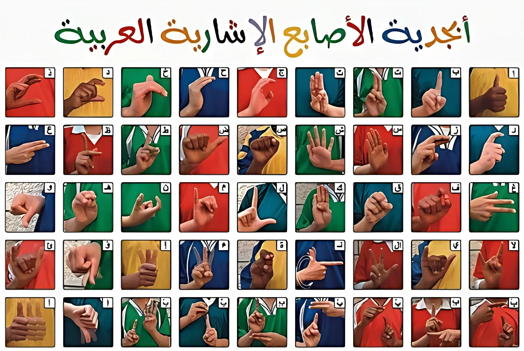 اختبارات عامر التعليمية