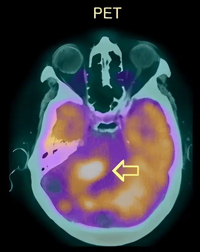 اختبارات عامر التعليمية