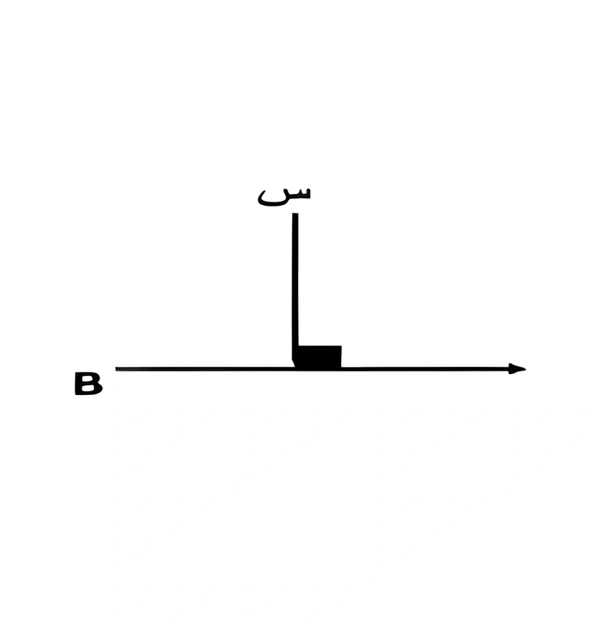 اختبارات عامر التعليمية