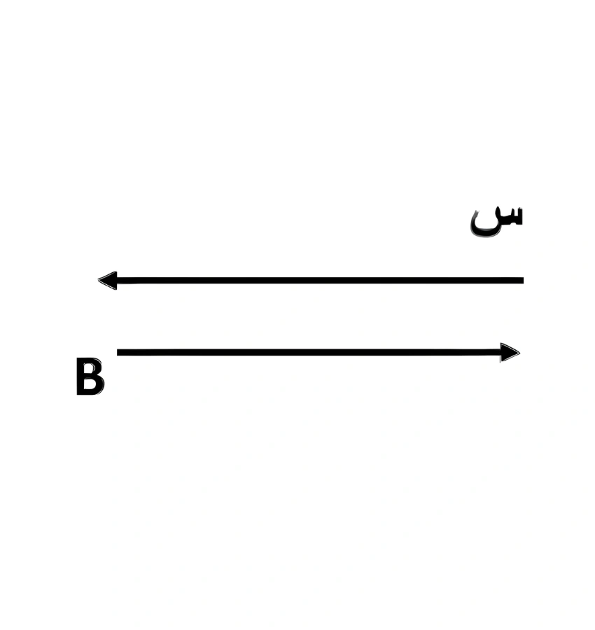 اختبارات عامر التعليمية