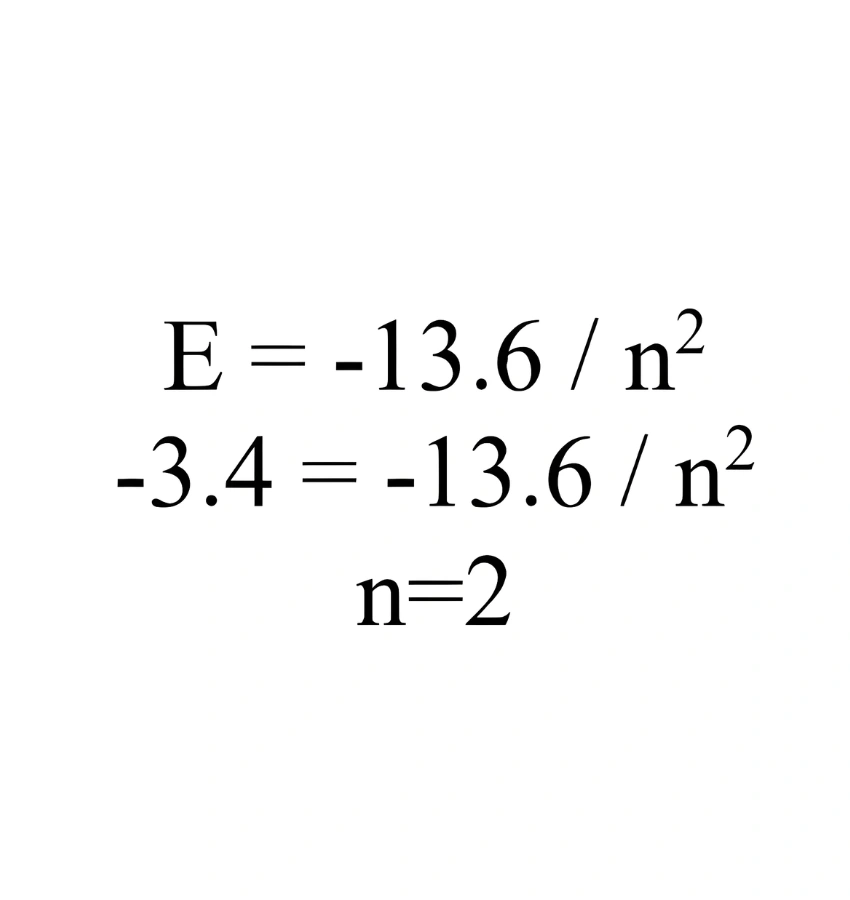 اختبارات عامر التعليمية
