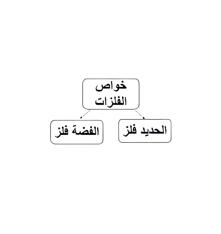 اختبارات عامر التعليمية