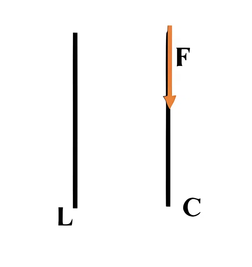 اختبارات عامر التعليمية