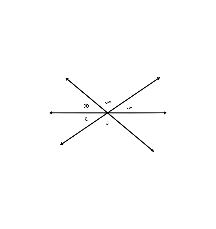 اختبارات عامر التعليمية