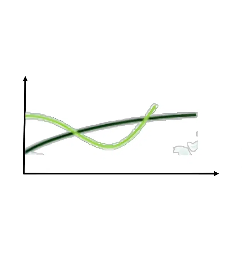 اختبارات عامر التعليمية