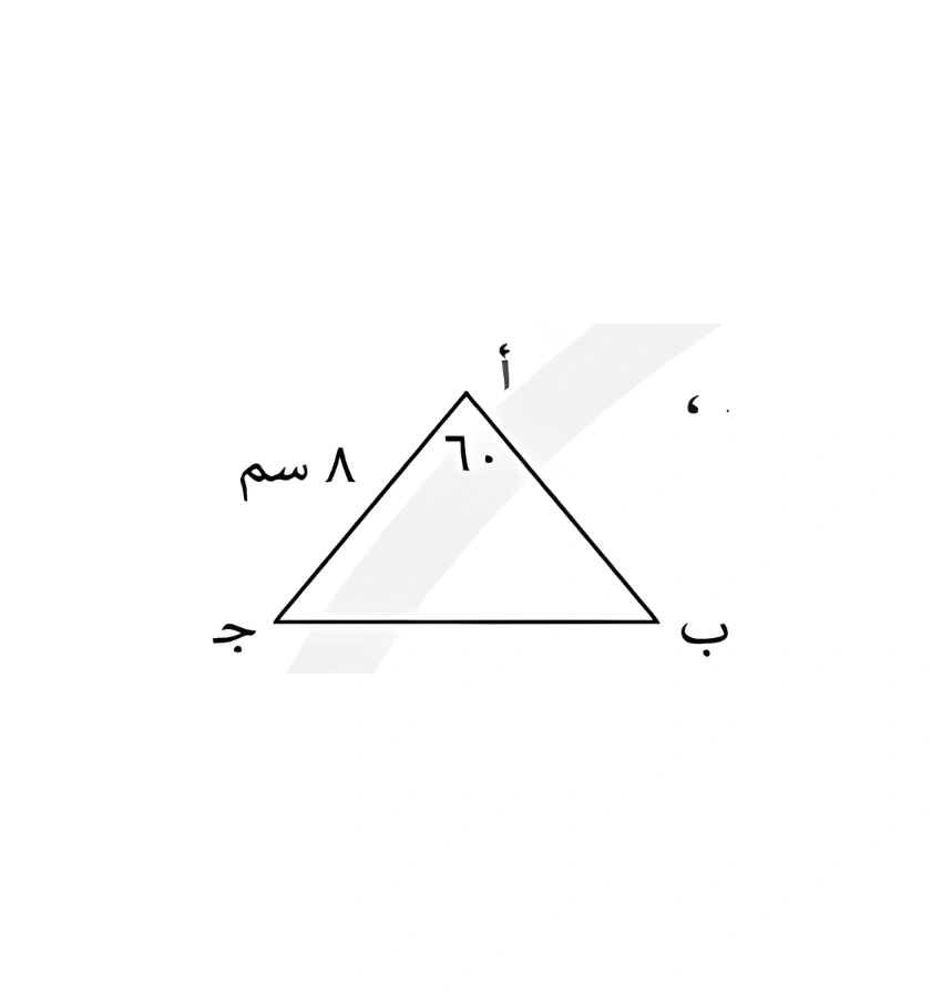 اختبارات عامر التعليمية