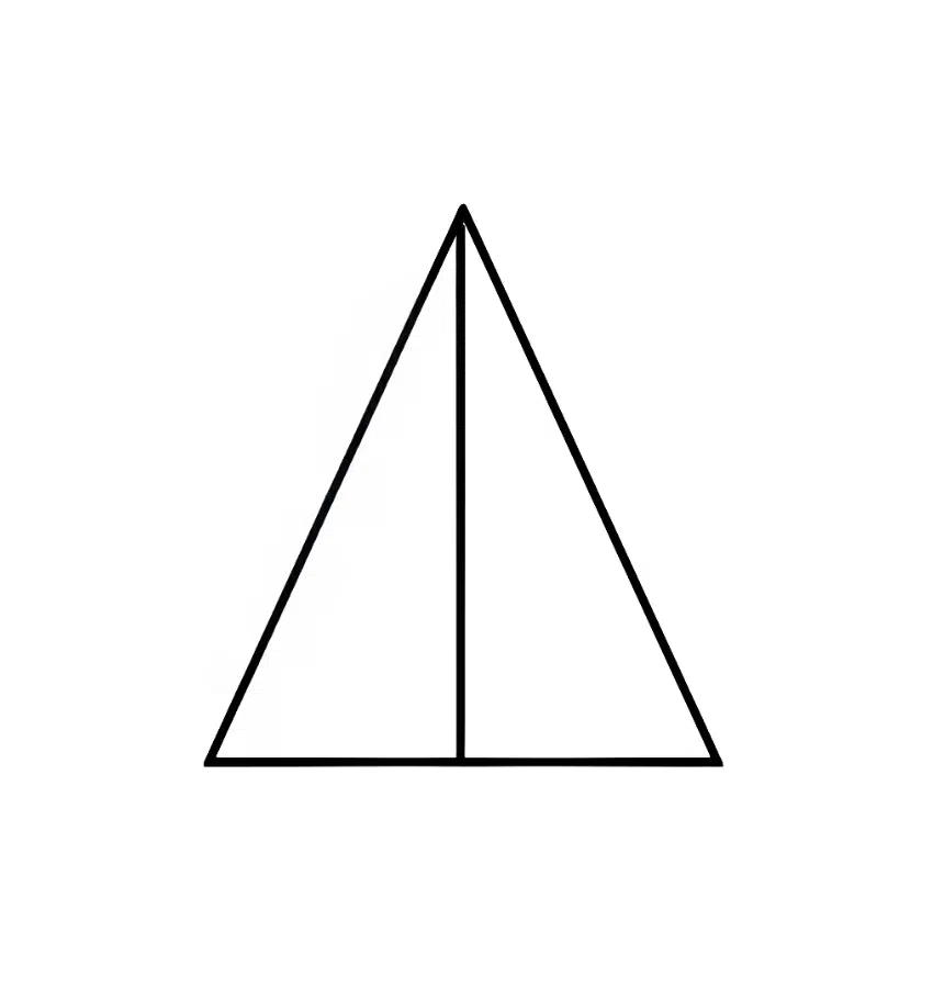 اختبارات عامر التعليمية