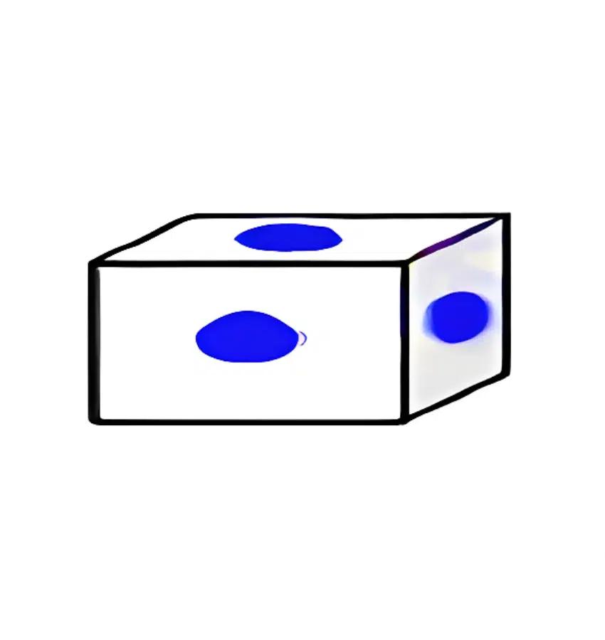 اختبارات عامر التعليمية