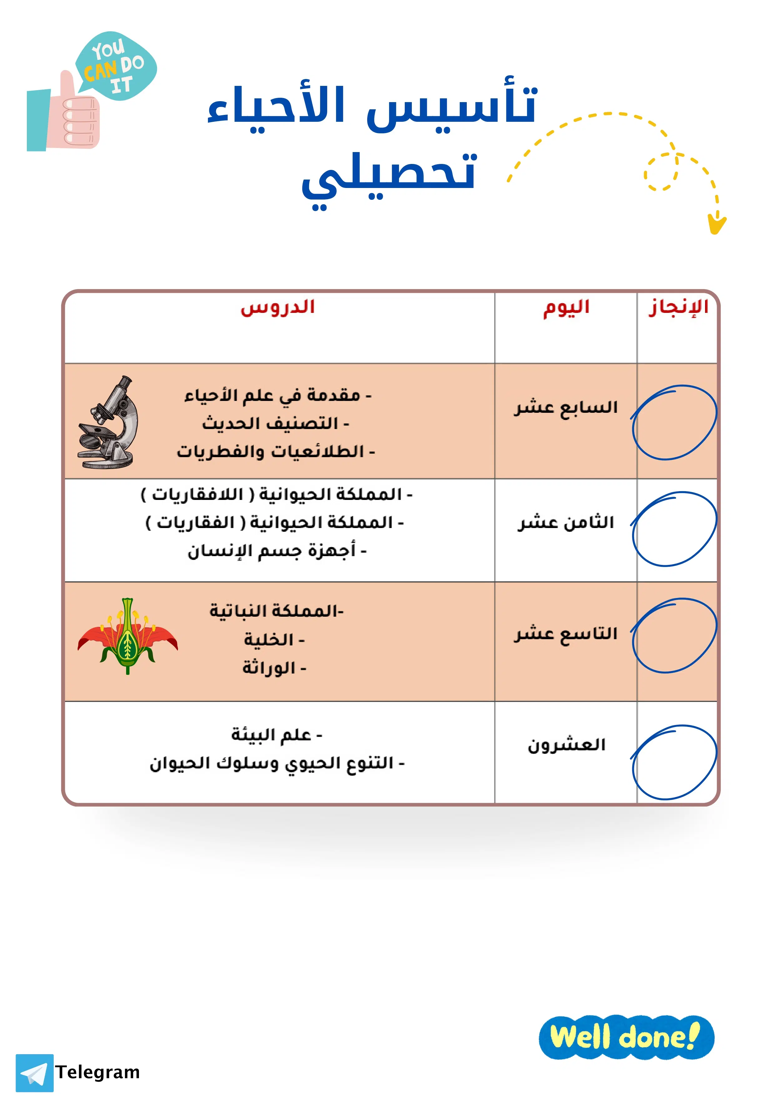 اختبارات عامر التعليمية