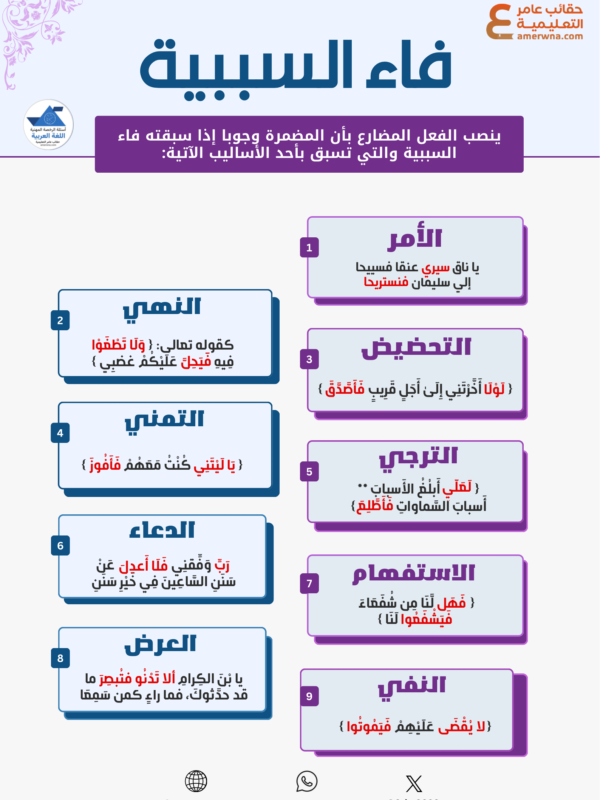 اختبارات عامر التعليمية