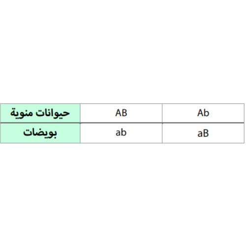 اختبارات عامر التعليمية