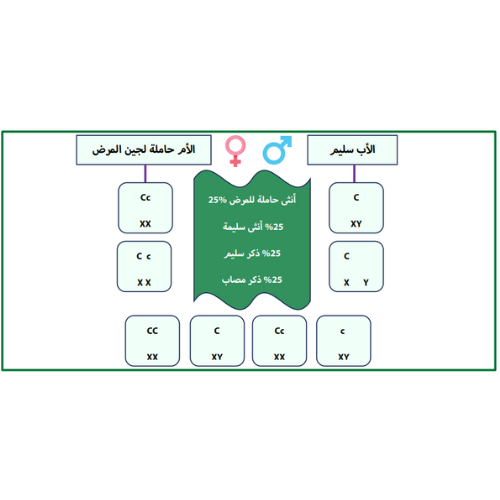 اختبارات عامر التعليمية