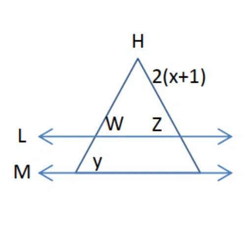 اختبارات عامر التعليمية