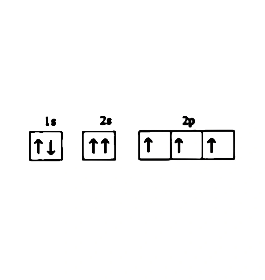 اختبارات عامر التعليمية