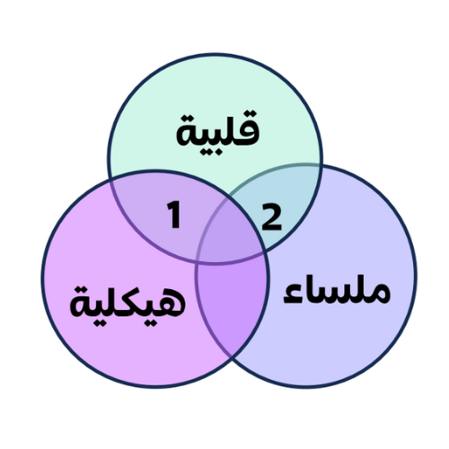 اختبارات عامر التعليمية