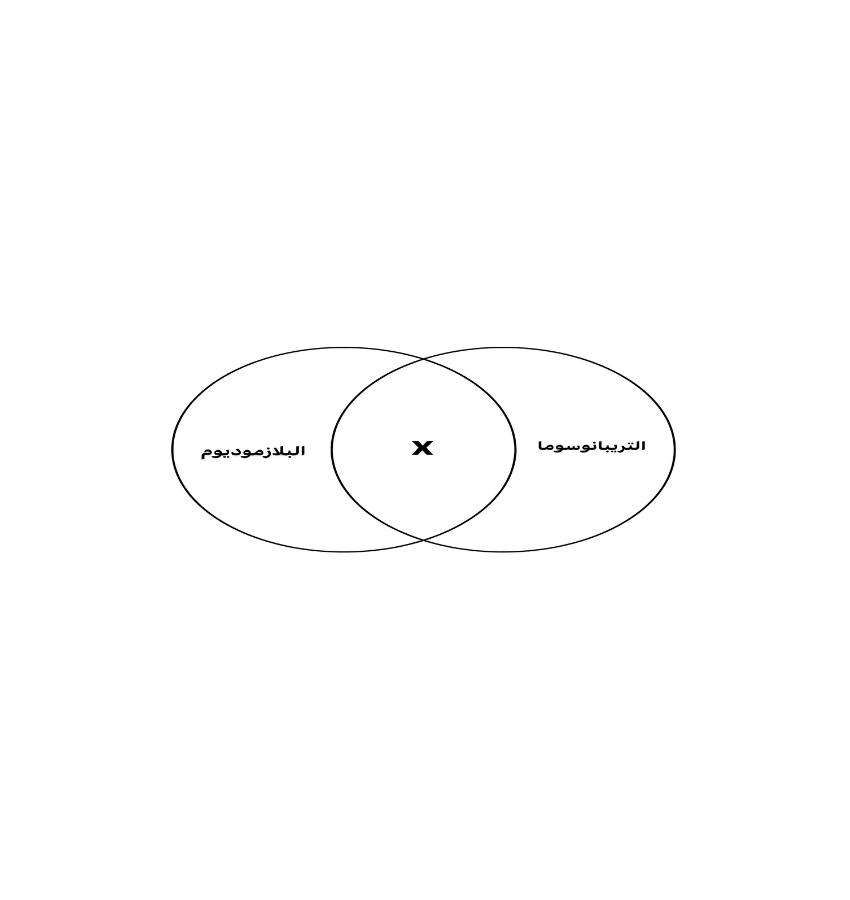 اختبارات عامر التعليمية