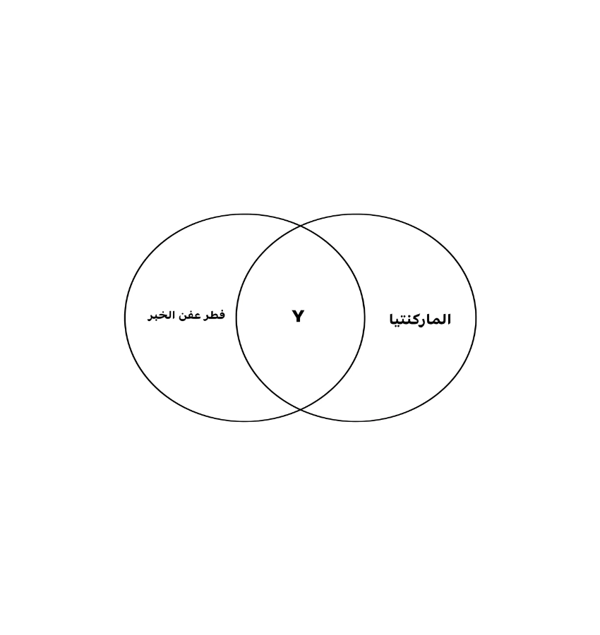 اختبارات عامر التعليمية