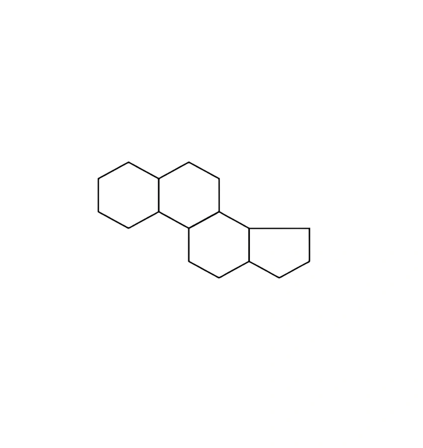 اختبارات عامر التعليمية