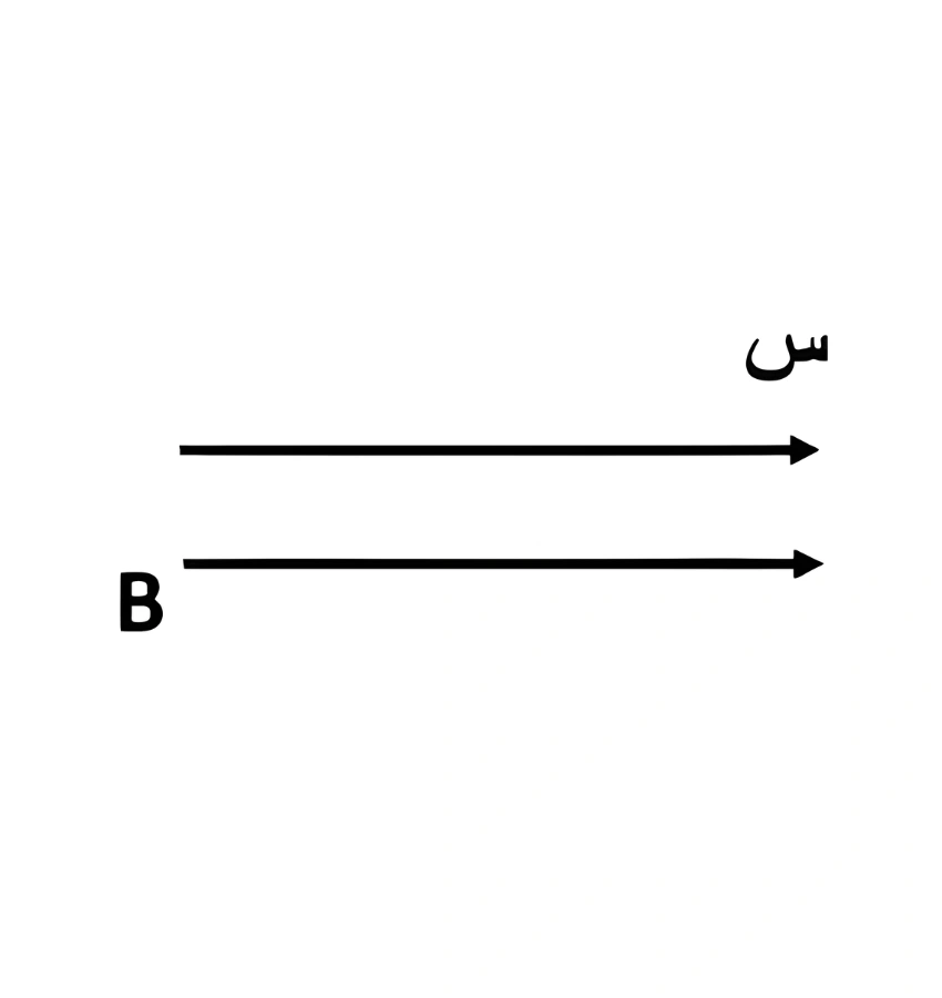 اختبارات عامر التعليمية