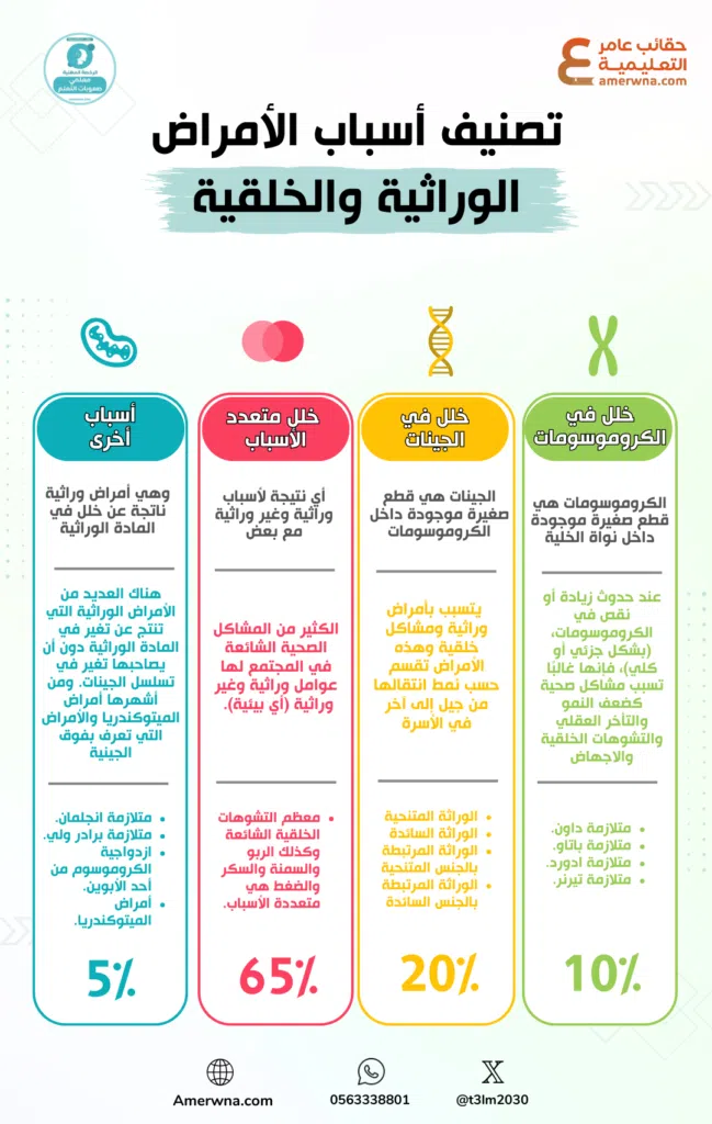 اختبارات عامر التعليمية